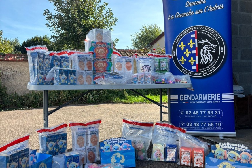 Sancoins : des peluches «Labubu» contrefaites saisies sur le marché